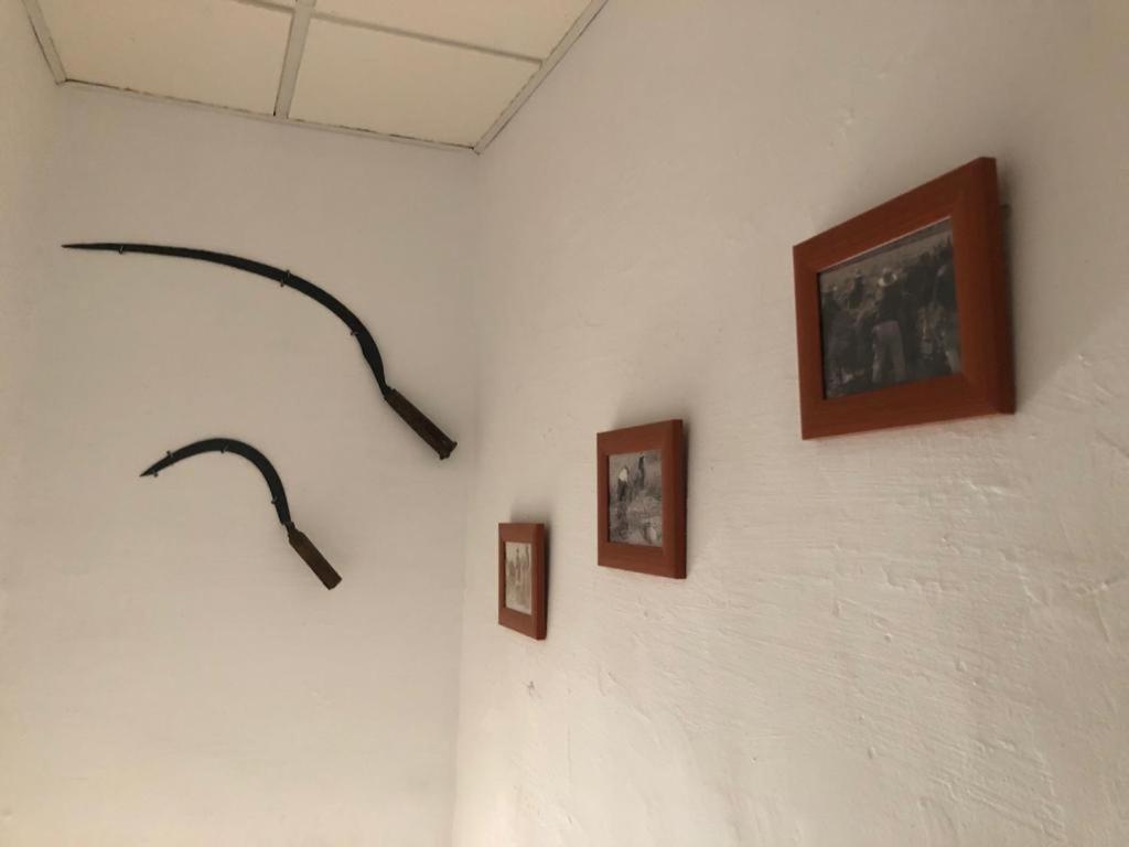 Masia Tarranc Els Muntells Bagian luar foto